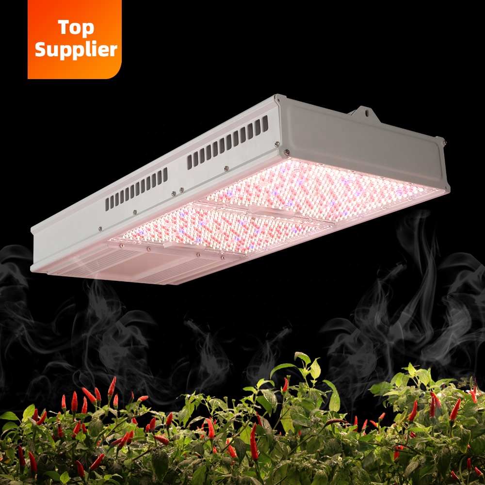 Plant Grow Light Full Spectrum - 비용 효율적인 600W 800W 탑라이트 풀