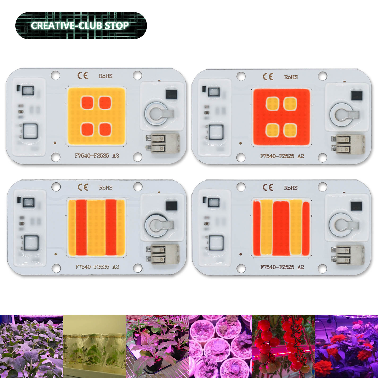 Plant Grow Light Full Spectrum - LED COB 칩 용접 무료 220V