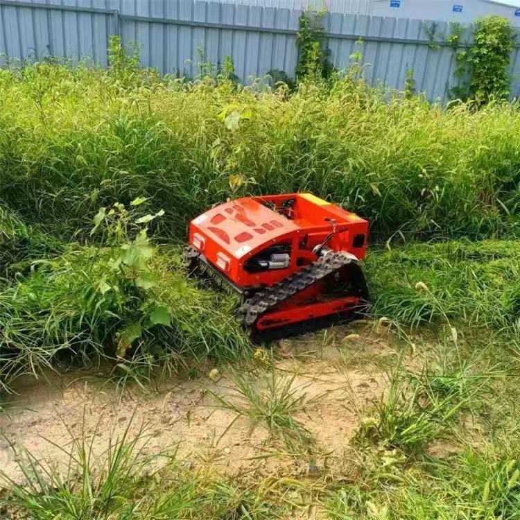스마트 원격 제어 회전 제초기 정원 소형 로봇 지능형  - Smart Garden Trimmer 리뷰 및 가격