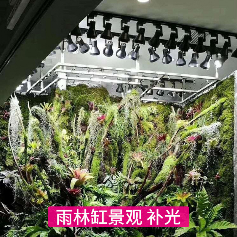 풀 스펙트럼 트랙 성장등 LED 식물등 (열대우림 테라 - Plant Grow Light Full Spectrum 리뷰 및 가격