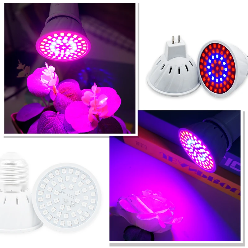 식물 램프 전체 스펙트럼 LED 성장 빛 AC220V  - Plant Grow Light Full Spectrum 리뷰 및 가격
