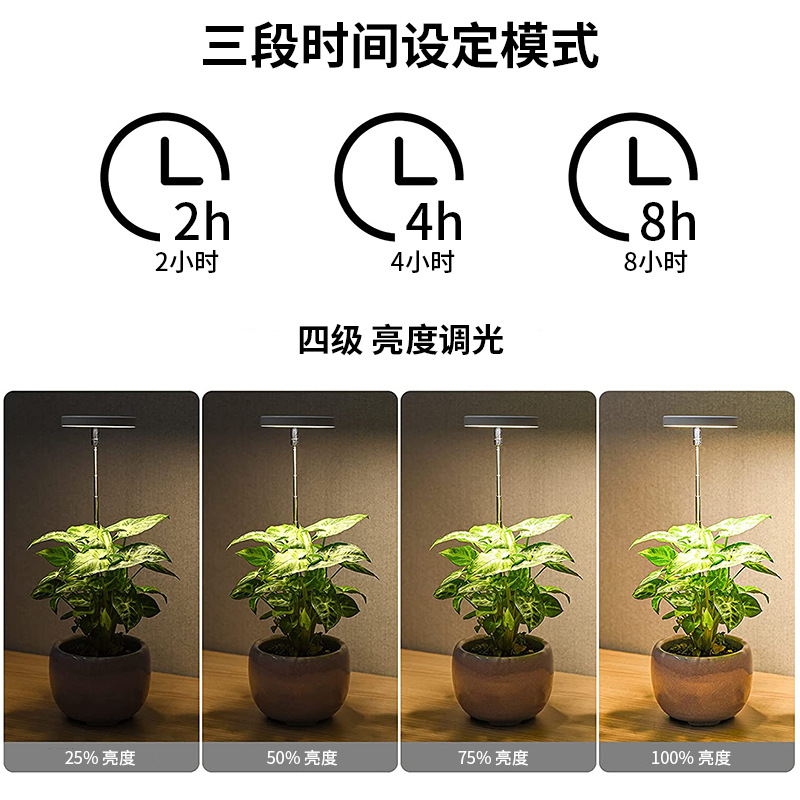 타이밍 조절 가능한 엔젤 링 LED 보조 조명, 접이식 - Plant Grow Light Full Spectrum 리뷰 및 가격