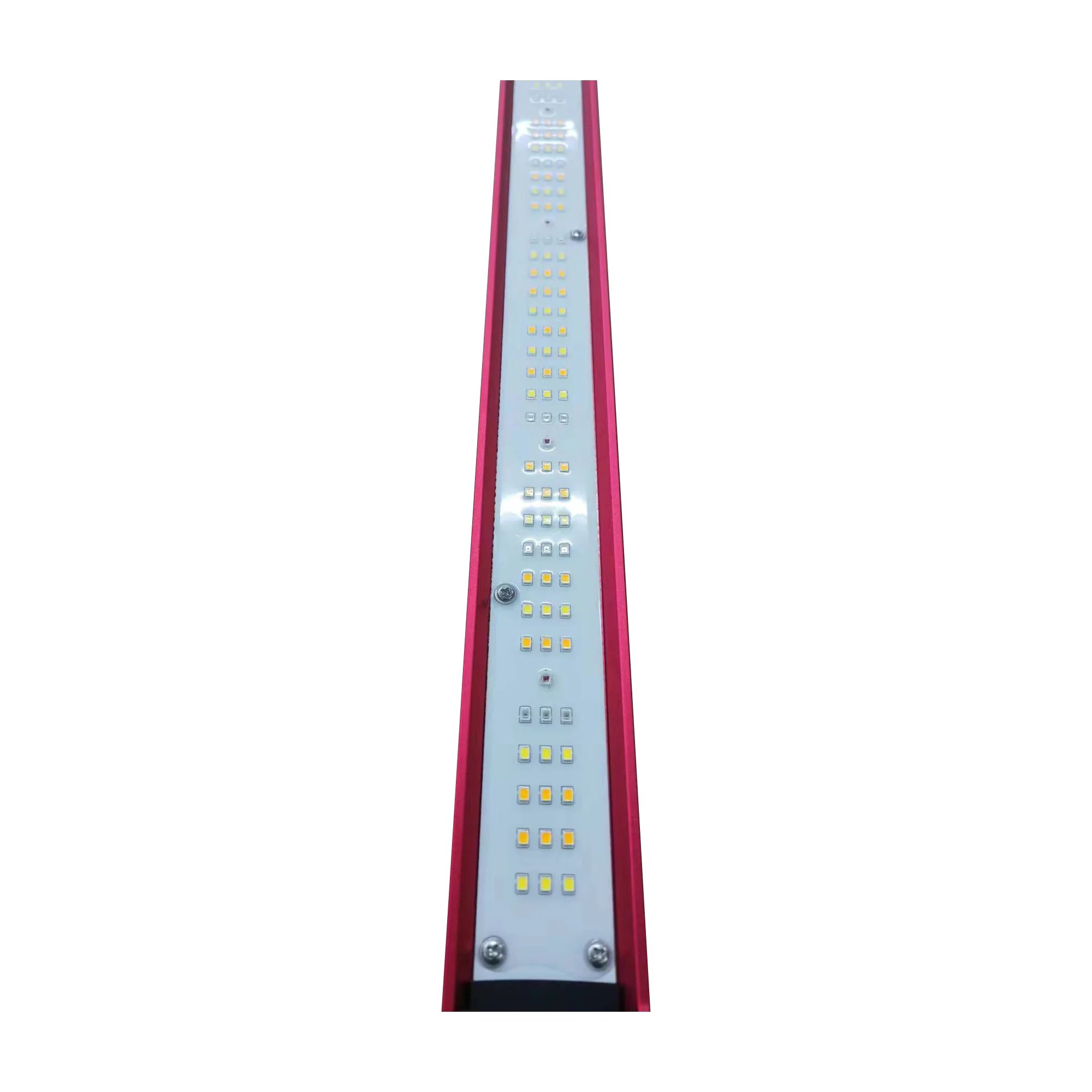 450w 600w 800w 1000와트 실내 식물용 I - Plant Grow Light Full Spectrum 리뷰 및 가격