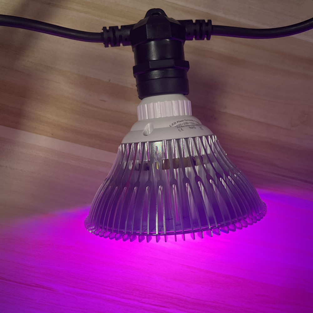 10M 케이블 LED 스트링 조명, 상업용 등급 방수, - Smart Garden Light 리뷰 및 가격