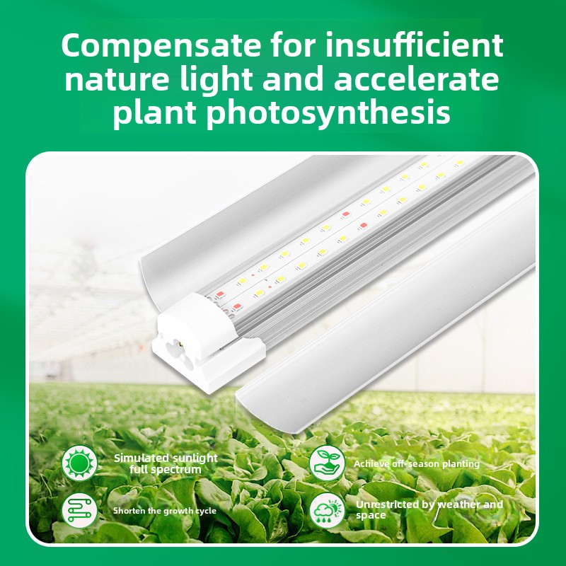 실내 녹색 식물 보조 조명 T8 LED 전체 스펙트럼  - Plant Grow Light Full Spectrum 리뷰 및 가격