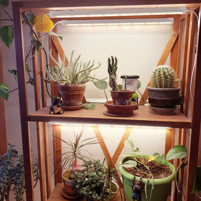 실내 녹색 식물 보조 조명 T8 LED 전체 스펙트럼  - Plant Grow Light Full Spectrum 리뷰 및 가격