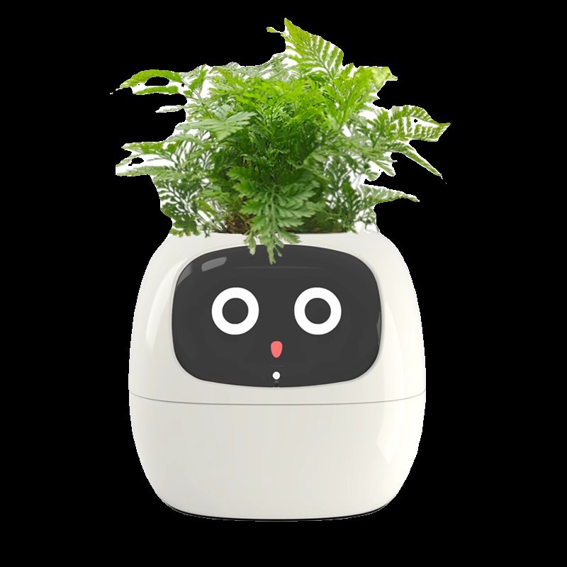 센서 스마트 미미 화분 얼굴 인식 앱 디지털 애완동물  - Self Watering Pot Sensor 리뷰 및 가격