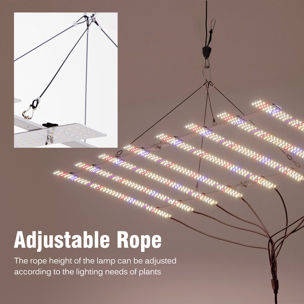 🌴 100W 200W 디밍 가능 스위치가 있는 풀 스펙 - Plant Grow Light Full Spectrum 리뷰 및 가격