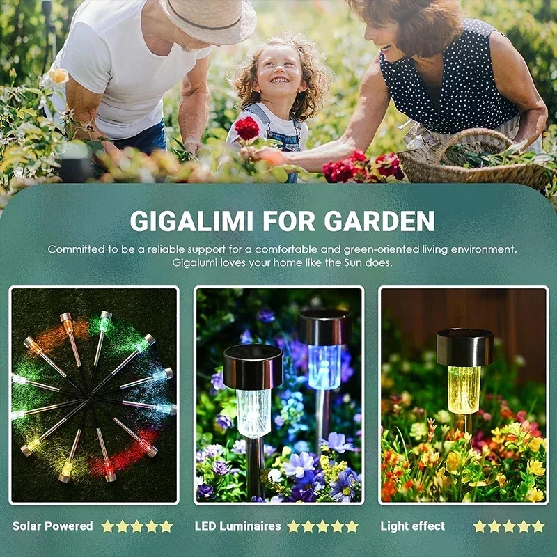 태양 야외 조명 정원 램프 태양 전원 방수 풍경 경로  - Smart Garden Solar 리뷰 및 가격
