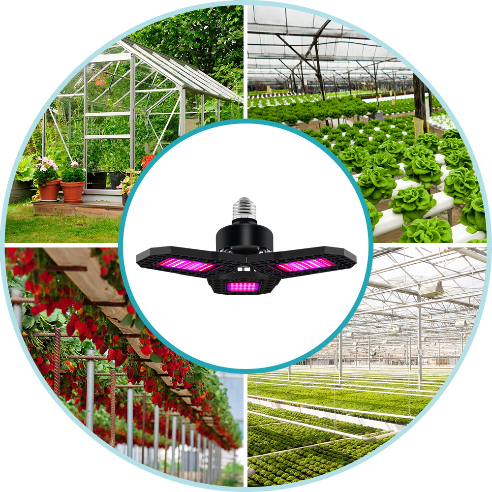 LED 식물 성장등 200W 변형 가능한 수경재배 성장 - Plant Grow Light Full Spectrum 리뷰 및 가격
