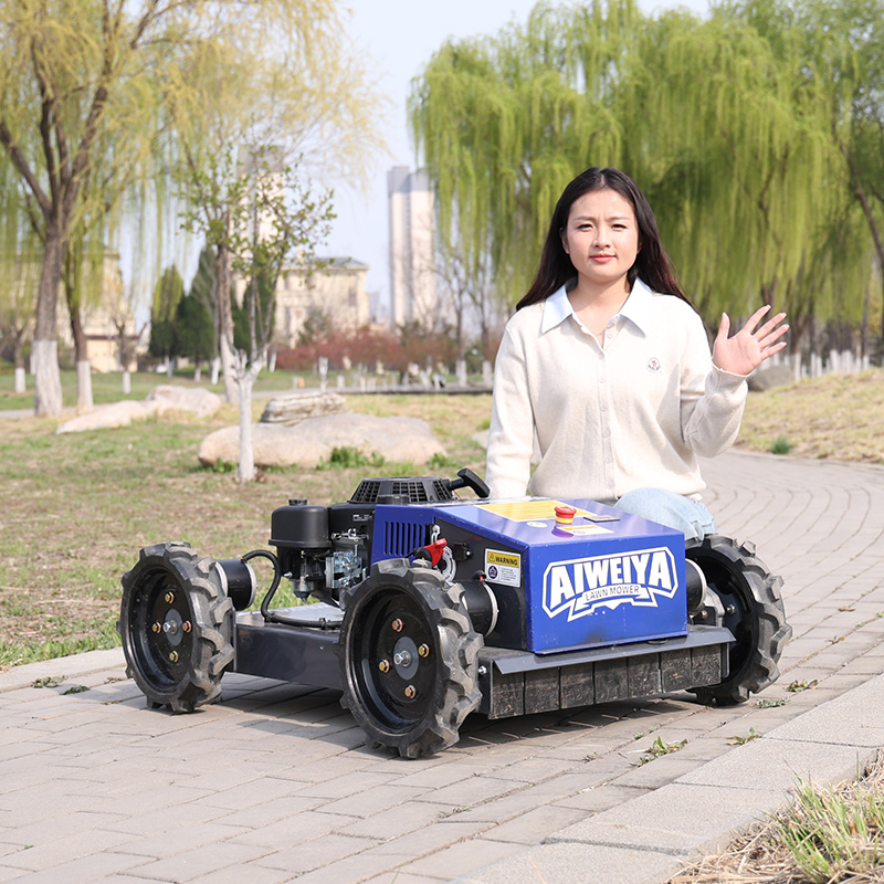 맞춤형 자동 로봇 잔디깎이 장애물 회피 스마트 무선 전 - Smart Garden Trimmer 리뷰 및 가격