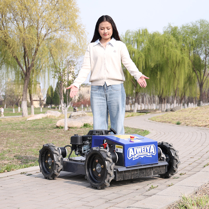 맞춤형 자동 로봇 잔디깎이 장애물 회피 스마트 무선 전 - Smart Garden Trimmer 리뷰 및 가격