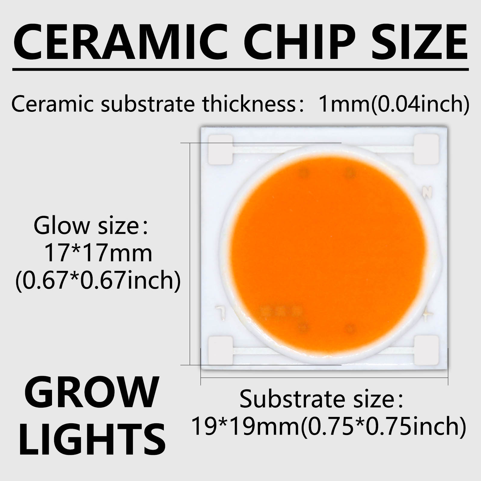 세라믹 베이스 LED COB 칩 풀 스펙트럼 전구, 식 - Plant Grow Light Full Spectrum 리뷰 및 가격