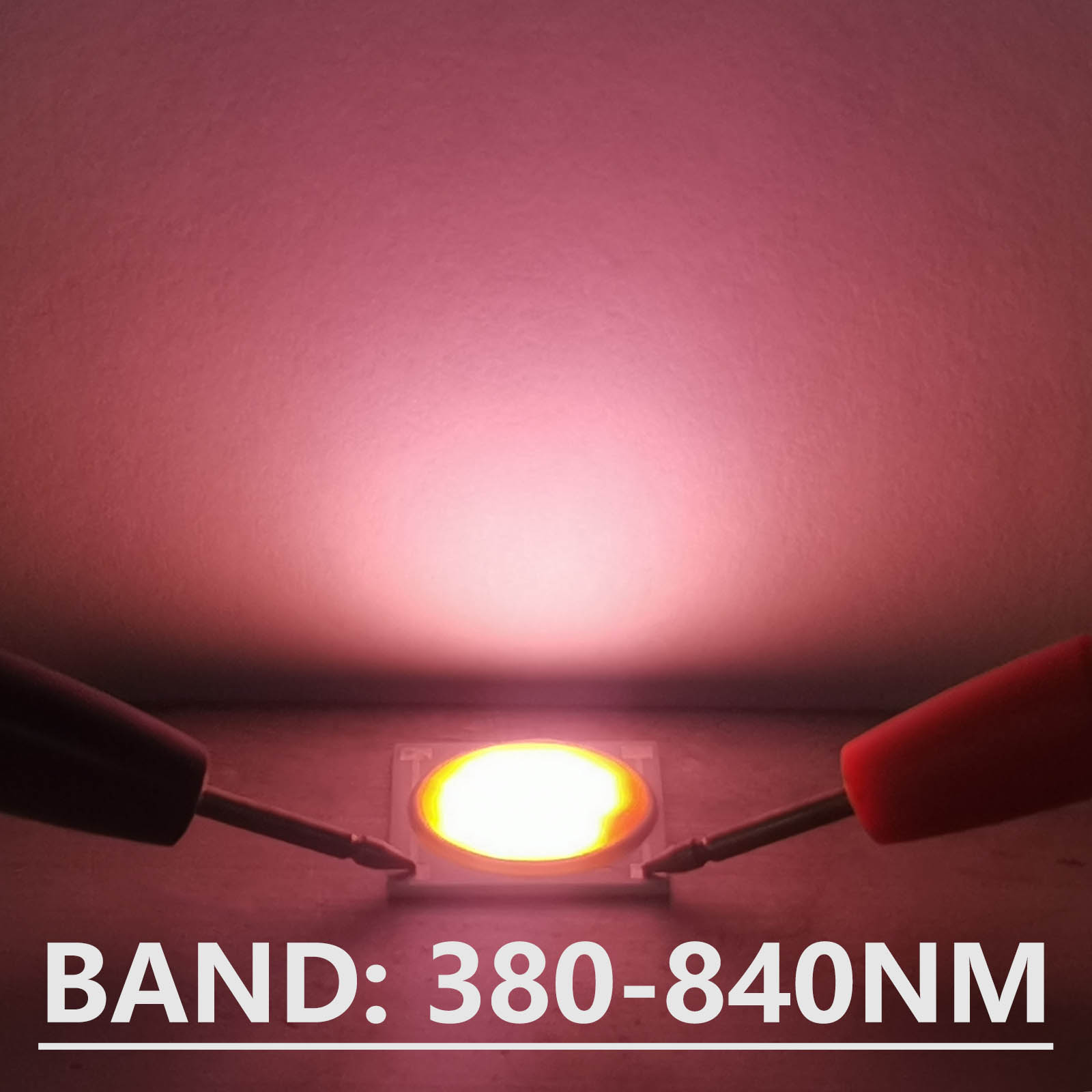 세라믹 베이스 LED COB 칩 풀 스펙트럼 전구, 식 - Plant Grow Light Full Spectrum 리뷰 및 가격