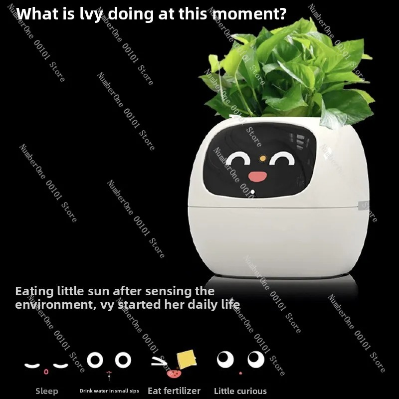 USB 충전식 자동 급수 화분 플라스틱 스마트 센서 내 - Self Watering Pot Sensor 리뷰 및 가격