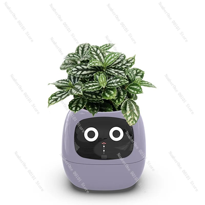 USB 충전식 자동 급수 화분 플라스틱 스마트 센서 내 - Self Watering Pot Sensor 리뷰 및 가격