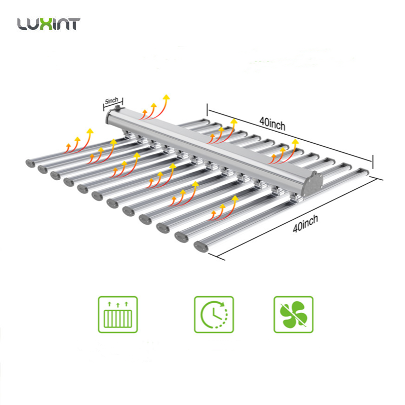 LUX 중국 공장 LED 식물 조명 12바 660w 1 - Plant Grow Light Full Spectrum 리뷰 및 가격