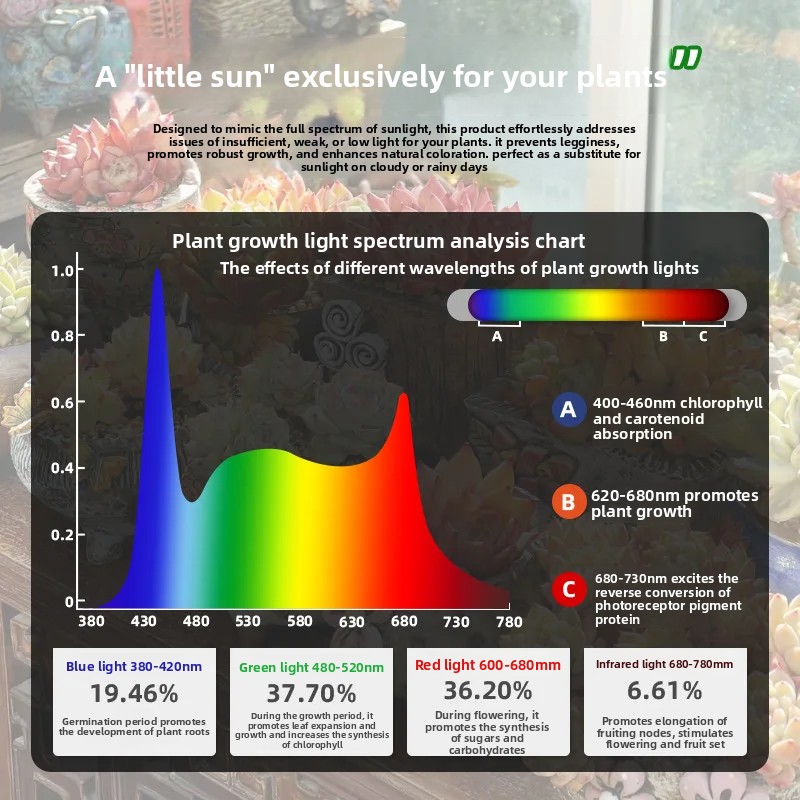 풀 스펙트럼 디밍 가능 포커스 LED 식물등, 녹색 식 - Plant Grow Light Full Spectrum 리뷰 및 가격
